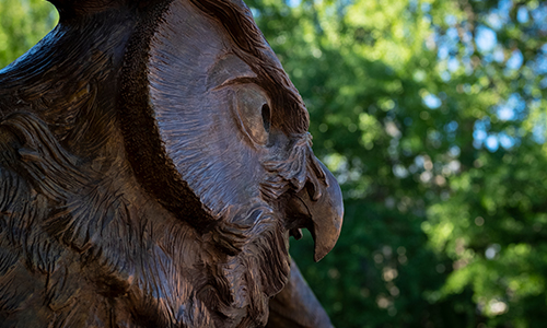 Student Organizations